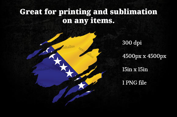 Bosnia and Herzegovina Ripped Flag PNG Graphics