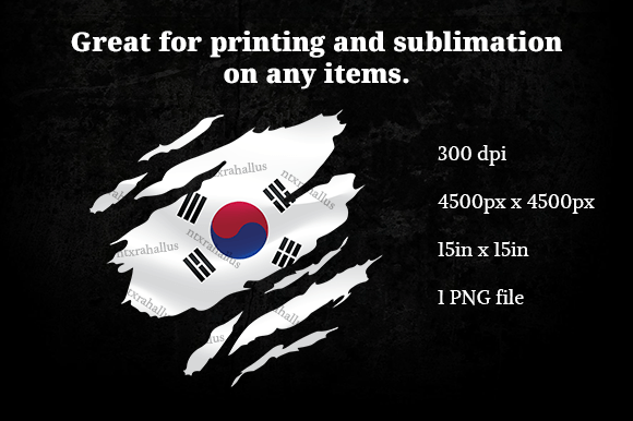Korea Ripped Flag PNG
